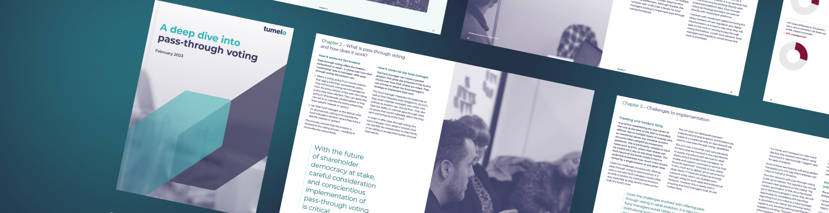 Features a collection of pages from the "Deep dive into Pass-through voting" paper, Features a collection of pages from the "Deep dive into Pass-through voting" paper,